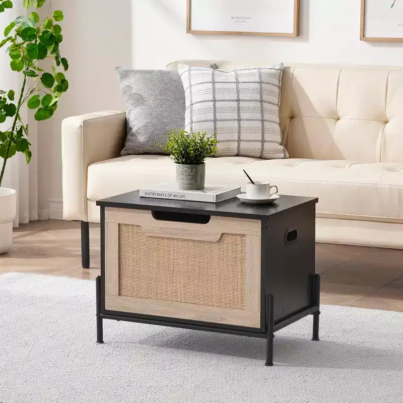Entryway Bench with Storage, Storage Benches for Living Room Bedroom Organizer Seat