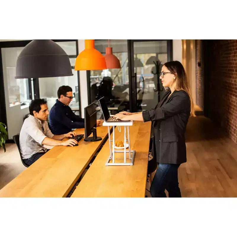 19 Portable Desk Riser